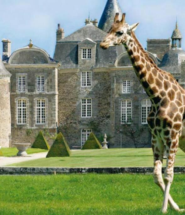 La Baie Du Mont Appartement De Vacances Proche Du Mont Saint Michel Roz-sur-Couesnon Eksteriør billede